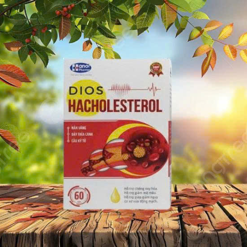 THỰC PHẨM BẢO VỆ SỨC KHOẺ (Dios Hacholesterol)
